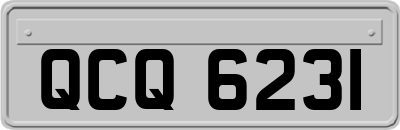 QCQ6231