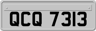 QCQ7313