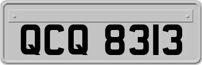 QCQ8313