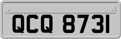 QCQ8731