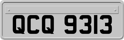 QCQ9313