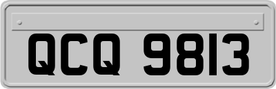 QCQ9813