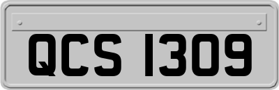 QCS1309