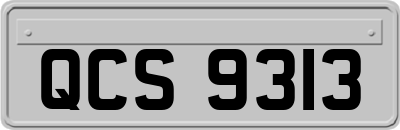 QCS9313