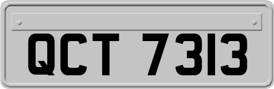 QCT7313