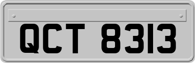 QCT8313