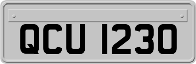 QCU1230