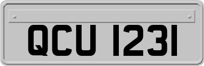 QCU1231