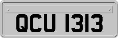 QCU1313