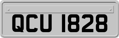 QCU1828