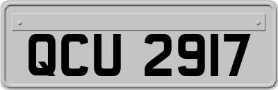 QCU2917