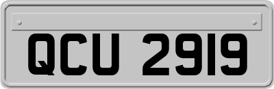 QCU2919