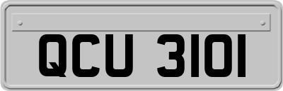 QCU3101