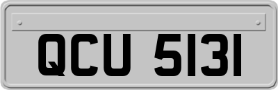 QCU5131