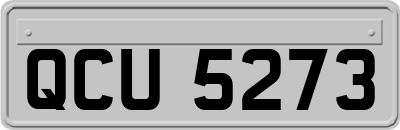 QCU5273