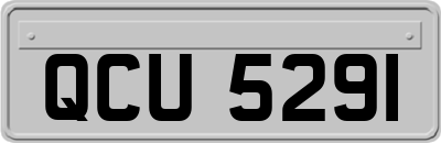 QCU5291