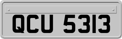 QCU5313