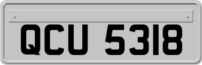 QCU5318