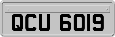 QCU6019