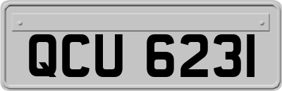 QCU6231