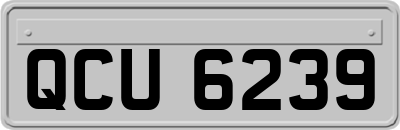 QCU6239