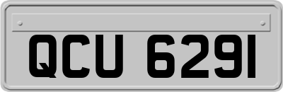 QCU6291