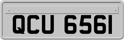 QCU6561