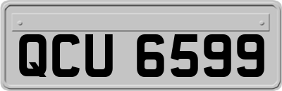 QCU6599