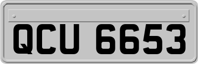 QCU6653