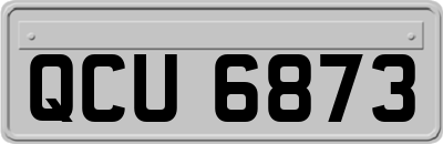 QCU6873