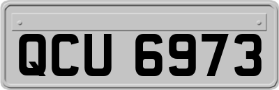 QCU6973