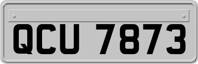 QCU7873