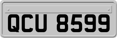 QCU8599