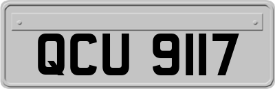 QCU9117