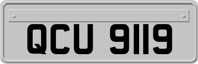 QCU9119