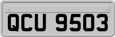 QCU9503