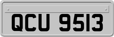 QCU9513