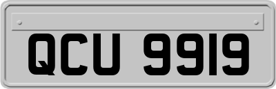 QCU9919