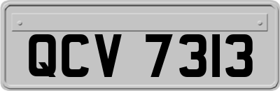 QCV7313