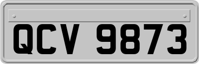 QCV9873