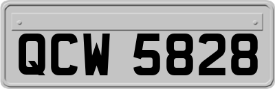 QCW5828