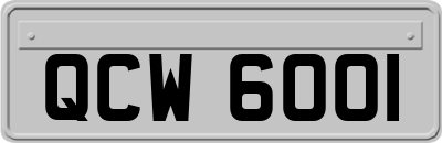 QCW6001