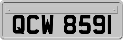 QCW8591