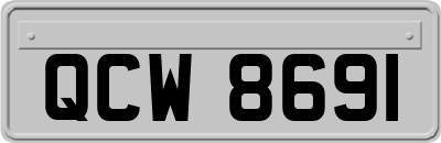 QCW8691