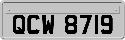 QCW8719