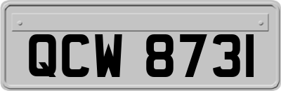 QCW8731