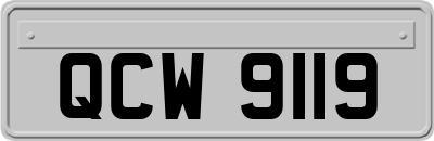 QCW9119