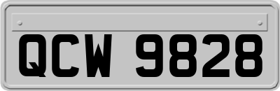 QCW9828