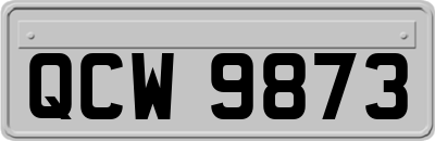 QCW9873