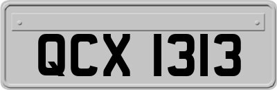 QCX1313